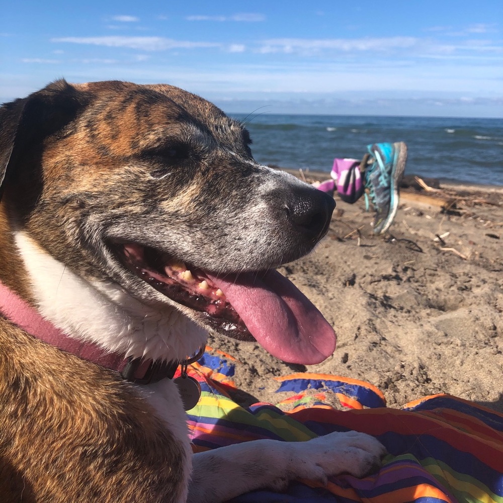 Meet your Posher, Elizabeth